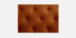 Live Image-copy-0