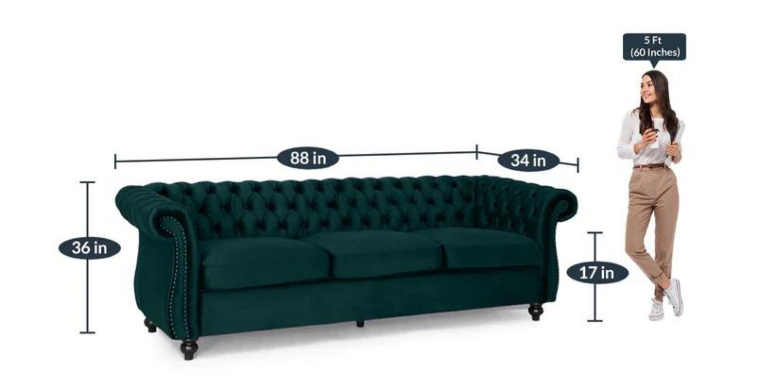 Phenomenal 3 Seater Sofa in Green colour by Dreamzz Furniture